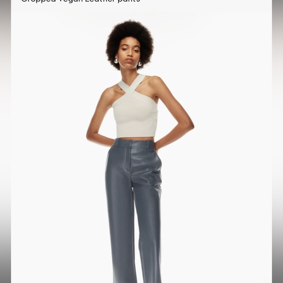 command pants -aritzia - Picture 2 of 5